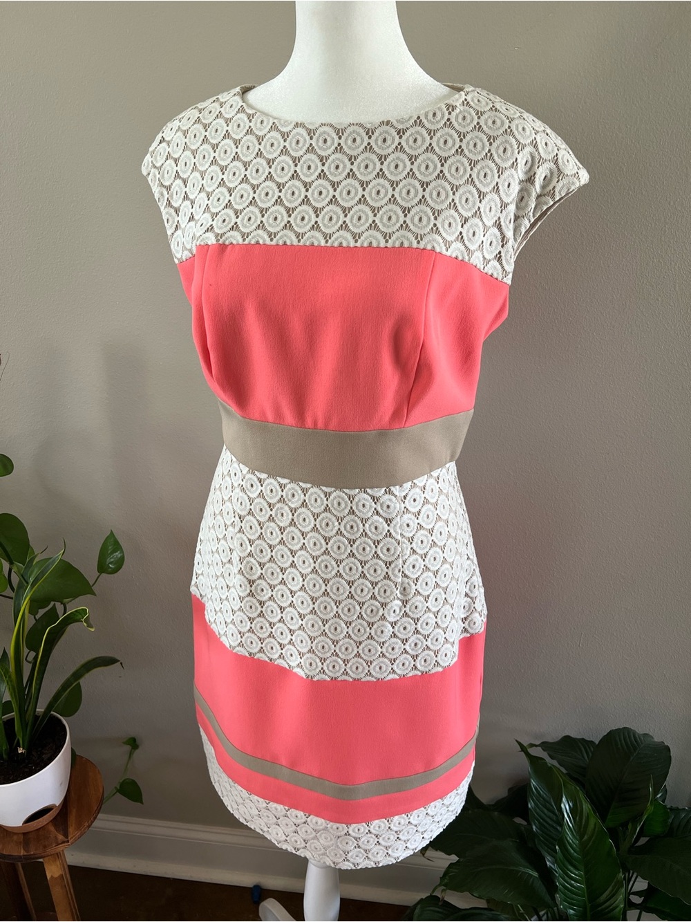 Coral and White Lace-Panel Mini Dress with Tan Waist